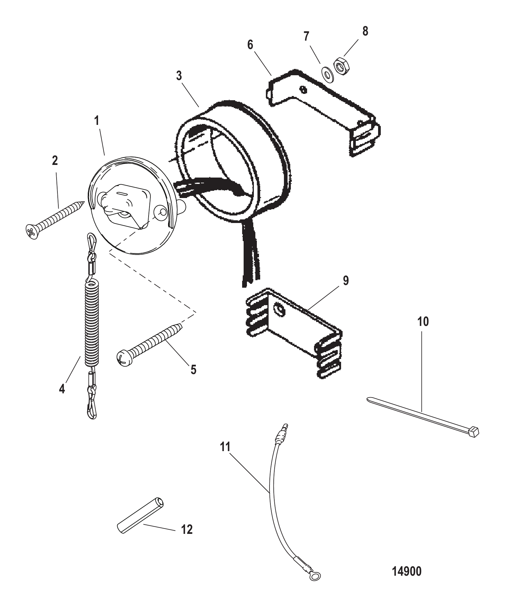 Switch/Lanyard Assembly
