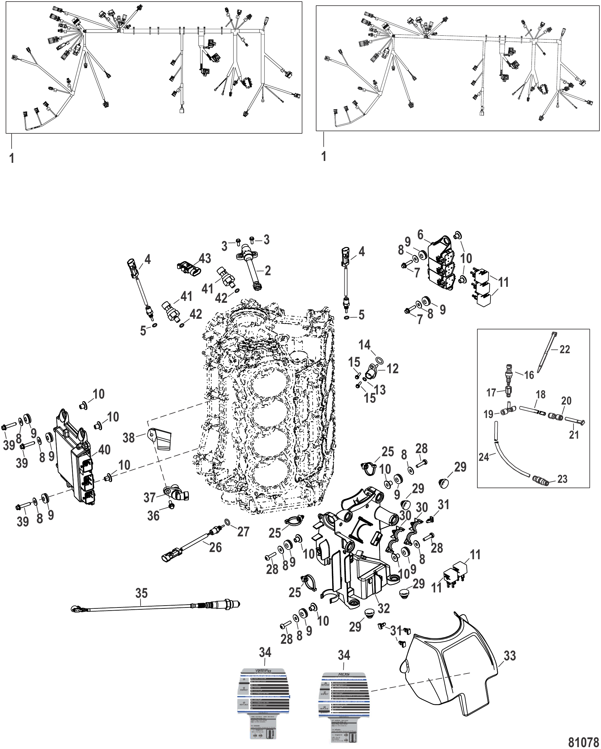 Electrical Mechanical/Digital Throttle